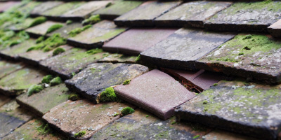 Hale Barns roof repair costs